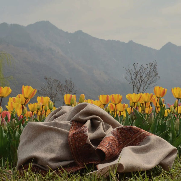 pashmina shawl in kashmir tulip garden