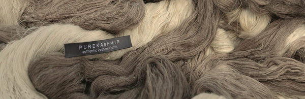 Pashmina vs cashmere