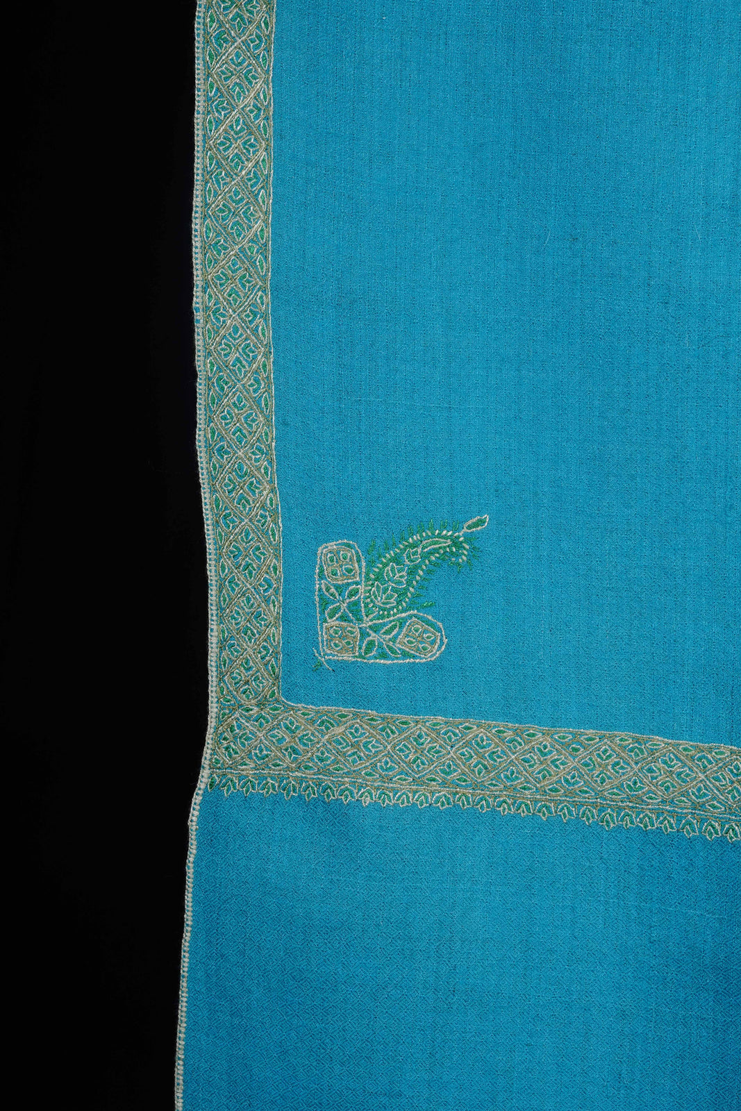 Turquoise Base With Green Border Embroidery Cashmere Pashmina Shawl