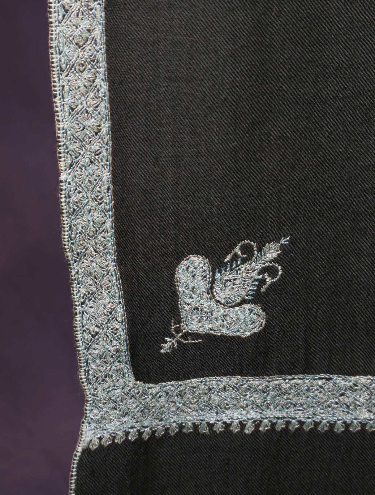 Green Base Border Embroidery Cashmere Pashmina Shawl