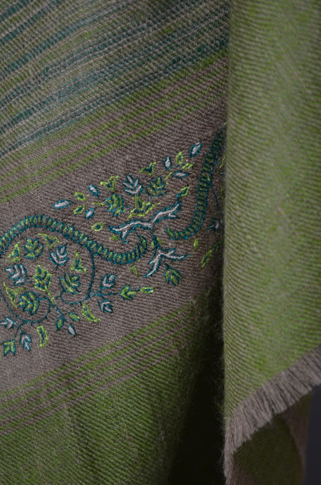 Lime Khadi Border Embroidery Cashmere Pashmina Shawl