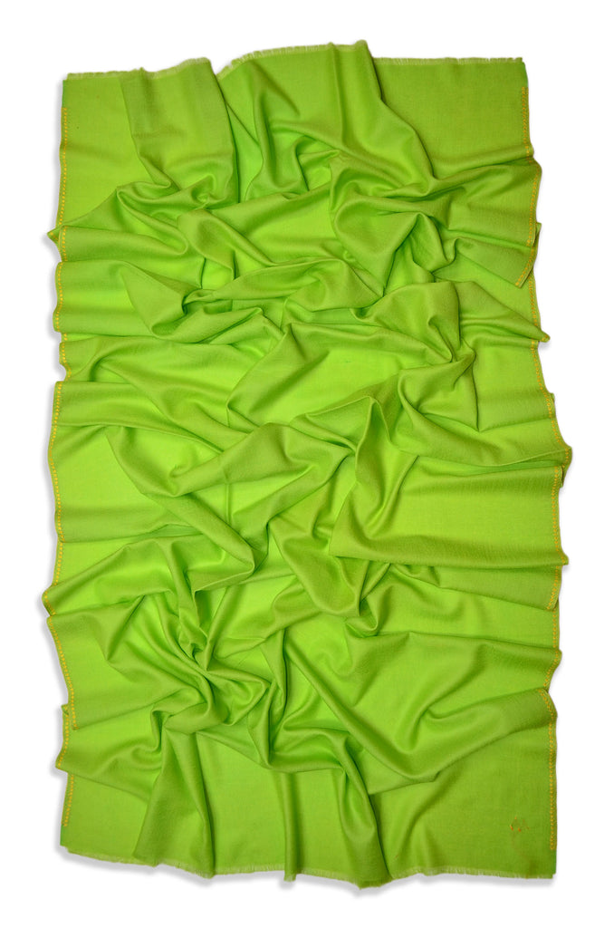 Light Green Sozni Embroidery Shawl