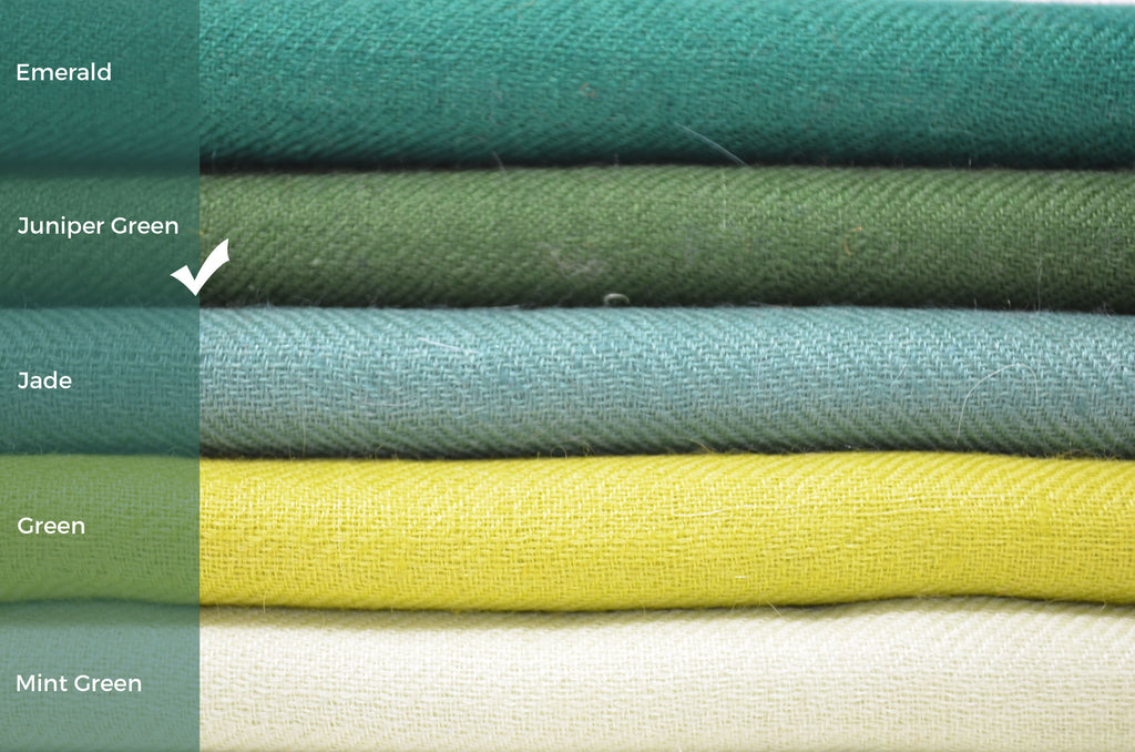 Juniper Green Kashmiri Pashmina Scarf/Shawl