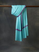 Blue Base with Purple Border Embroidery Cashmere Pashmina Shawl