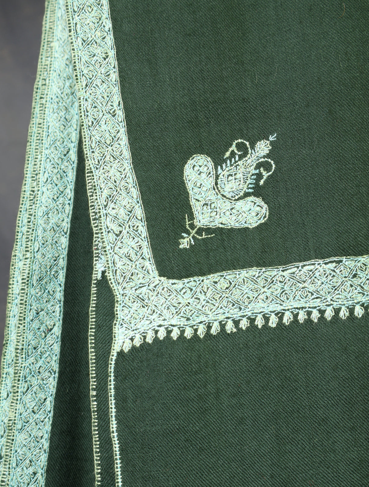 Green Base Border Embroidery Cashmere Pashmina Shawl
