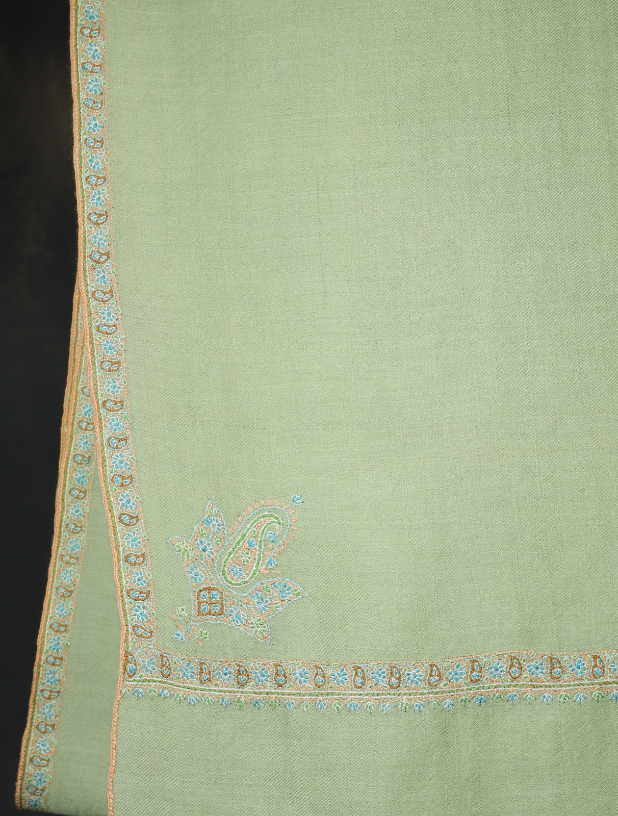 Pistachio Green Base With Small Border Embroidery Cashmere Pashmina Shawl