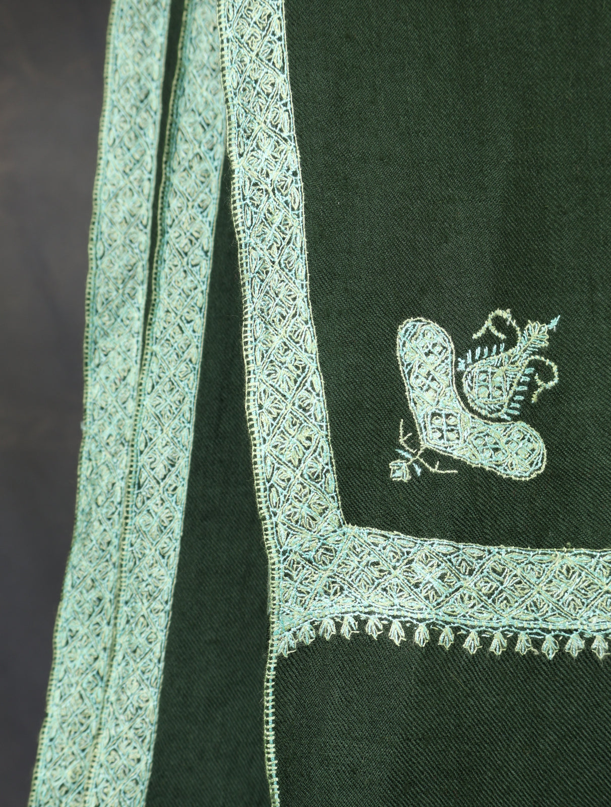Green Base Border Embroidery Cashmere Pashmina Shawl