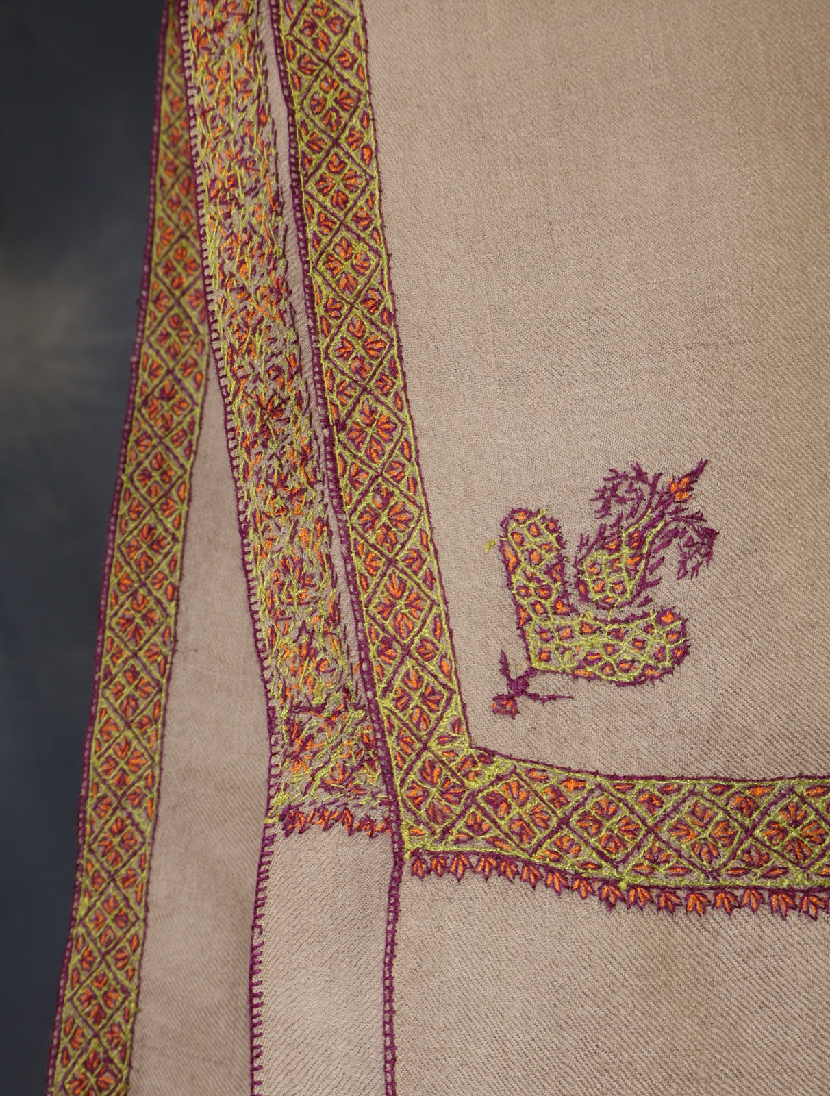 Beige Base Border Embroidery Cashmere Pashmina Shawl