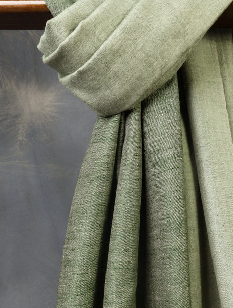 Olive And Mint Green Reversible Handwoven Cashmere Pashmina Shawl