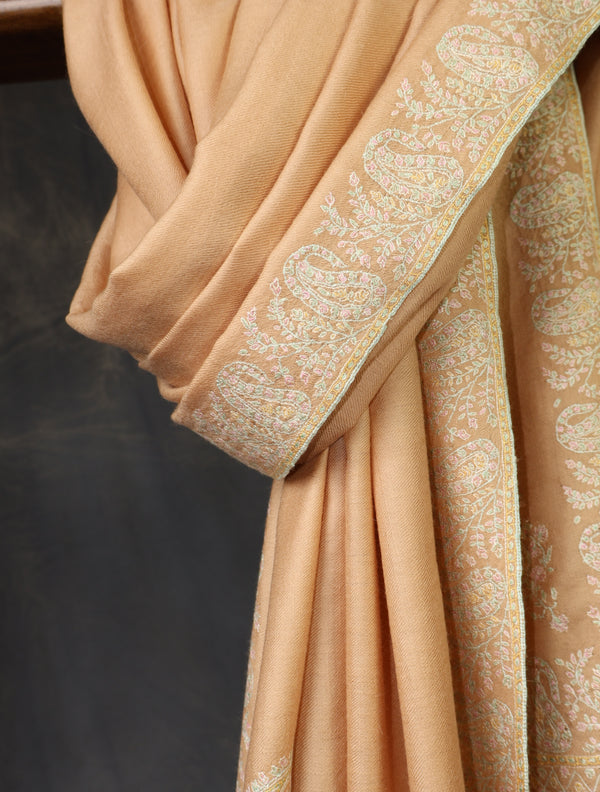 Light Peach Base With Small Border Embroidery Cashmere Pashmina Shawl — pashmina shawl detail