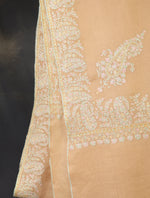 Light Peach Base With Small Border Embroidery Cashmere Pashmina Shawl