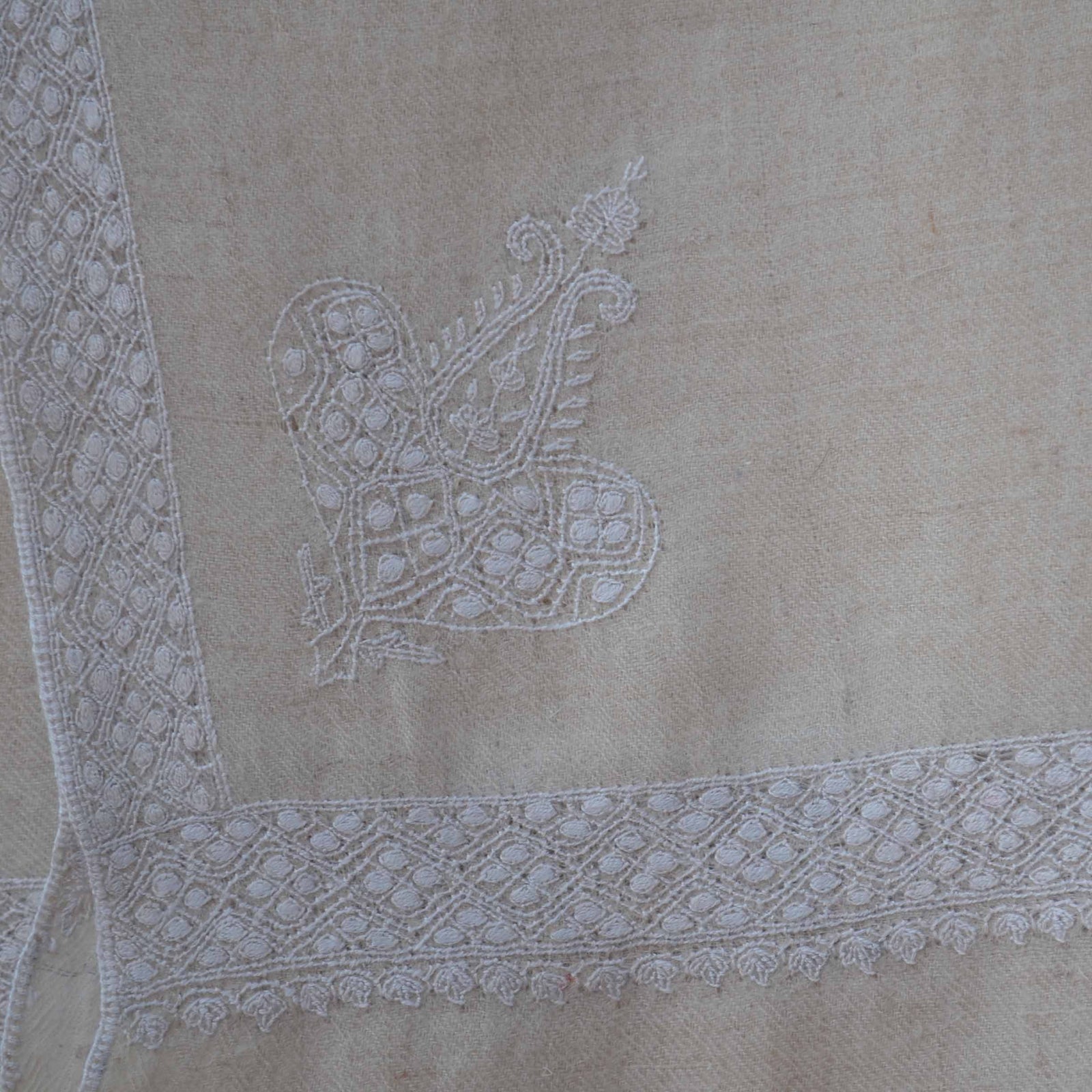 Premium quality border embroidered pashmina shawl