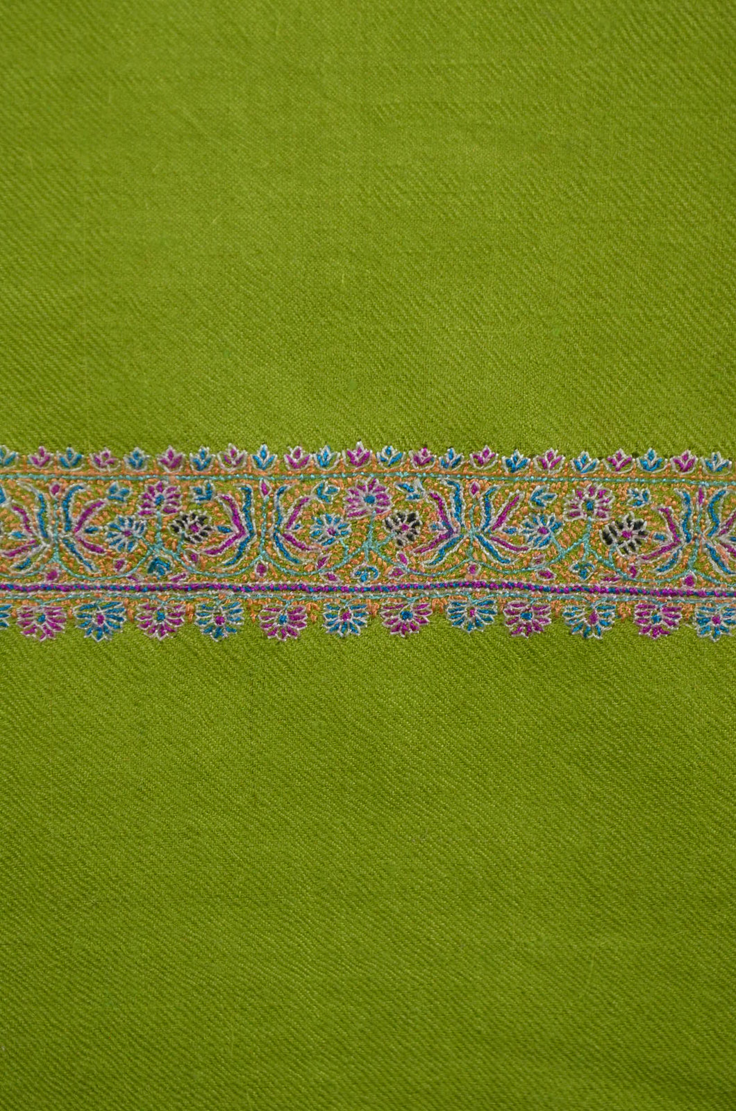 Citron Green Base Border Embroidery Cashmere Pashmina Shawl